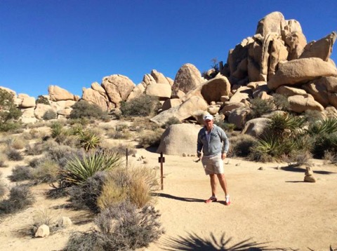 joshuatree2